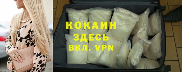 прущие грибы Армянск