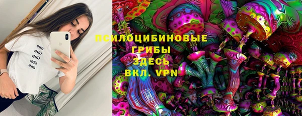 прущие грибы Армянск