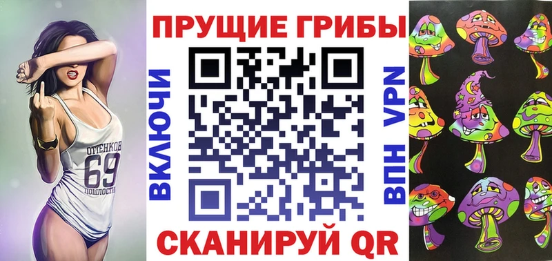 закладки Ядрин ОМГ ОМГ рабочий сайт Псилоцибиновые грибы GOLDEN TEACHER